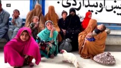 د خوړو نړيوالې ادارې له پاکستانه د ستنېدونکو افغان کډوالو لپاره د مرستو غږ کړی
  د خوړو نړيوالې ادارې له پاکستانه د ستنېدونکو افغان کډوالو لپاره د مرستو غږ کړی