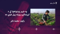 خیبر پښتونخوا کې د امریکا او ملګرو ملتونو په مالي مرسته د کروندګرو روزنیز مرکزونه فعال شوي خیبر پښتونخوا کې د امریکا او ملګرو ملتونو په مالي مرسته د کروندګرو روزنیز مرکزونه فعال شوي