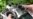 16x9 Image