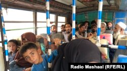 په سيند کې په نيول شويو افغانانو کې تر ۳۰۰ زياتې ښځې او ماشومانې هم شاملې دي.