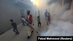 د ډینګي ماشي ضد کمپاین پخوانی عکس