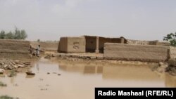 په پکتیا کې تر باران وروسته اوبه ډنډ شوې دي - پخوانی انځور.