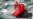 Мировые цены на нефть достигли самого низкого уровня за 11 лет