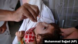 په پېښور کې يوې ماشومې ته د پولیو واکسین کیږي - انځور له ارشیفه