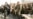 Fighting In Nagorno-Karabakh: War Or War Dance?