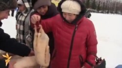 Чаллыда каз түшкәләрен былтыргы бәягә саттылар Чаллыда каз түшкәләрен былтыргы бәягә саттылар