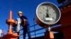 Inženjer nadgleda sistem distribucije gasa u Kiškundorozmi, 170 kilometara južno od Budimpešte, 15. januara 2015.