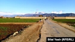 د باجوړ چارمنګ او لوی سم ترمنځ غځیدلی سړک - انځور له ارشیفه