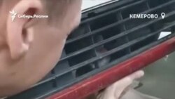 Спасение котенка из машины в Кузбассе Спасение котенка из машины в Кузбассе