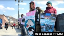 Акция в защиту белух и косаток во Владивостоке