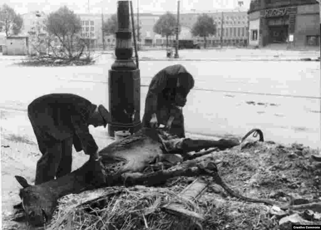 Жителі Берліну відрізають шматок м'яса з коня. Травень 1945 року