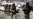Uzbek 'Extremists' Blacklisted After Prolonged Absence