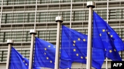 likely to see major gains for anti-EU parties bent on destroying the E