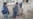Central Asia: New UN Human Development Report Asks, 'What If?'