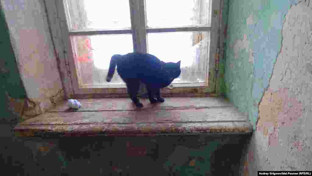 Но всему виной — состояние зданий, которые при должном подходе и внутри могли бы выглядеть совершенно иначе. 