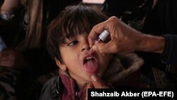 پاکستان کې لا هم ماشومان د ګوزڼ ښکار دي چې وخت په وخت ورته واکسین ورکول کېږي.