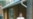 Kazakhstan Detains Uzbek Wanted For Religious Extremism