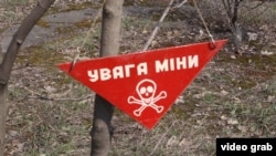 Решение вступит в силу через шесть месяцев