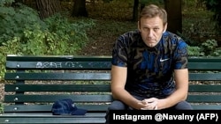 Russian opposition activist and anti-corruption campaigner Aleksei Navalny 