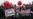 The Power Vertical: Why These Protests Were Different