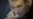 News Analysis: Twists In Navalny Case Leave Heads Spinning
