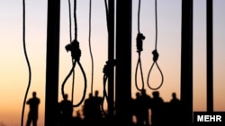 At least 30 people have been executed in the span of a week.