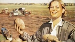 Национальные особенности картошки Национальные особенности картошки