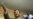 Iran: Mahmud Ahmadinejad -- Fascist, Or Man Of The People?