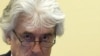 Karadzic Challenges Appointment Of Defense Lawyer