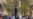 Iran Arrests Two More Women For Protesting Compulsory Hijab