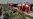 Ukrainian Plane Crashes In Iran, Killing All 176 People Aboard
