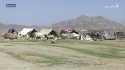 فیلیپو ګرانډي: د افغانستان بشري ناورين باید هېر نه کړو فیلیپو ګرانډي: د افغانستان بشري ناورين باید هېر نه کړو