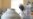 Russian Scientists Say Coronavirus Vaccine Shows Immune Response