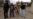 Obama Discusses Role For Anbar Militias