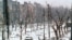Грозный, 1 февраля 1995 года