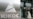 Yukos President Resigns