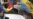 16x9 Image