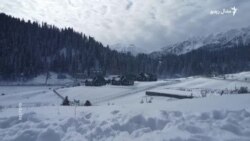 کشمير کې د واورو تر ورېدو وروسته سيلانيان ورمات شوي کشمير کې د واورو تر ورېدو وروسته سيلانيان ورمات شوي