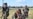 UKRAINE – Female Ukrainian cadets, wearing new military uniforms designed specially for women, attend the "Uniform matters" event organised to present the outfit and test it under military training conditions, on the outskirts of Kyiv on July 12, 2023