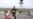 Who Killed The Kazakh Border Guards?