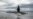 Russia Harshly Criticizes New U.S. Nuclear Posture Document