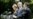 U.S./EU: Summit Presents United Front On Missile Defense, Iran