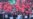 Direct Mayoral Elections Abolished In Yekaterinburg, Despite Protests