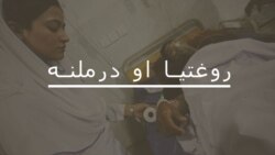 ډېنګي تبه څه ډول ناروغي ده او څنګه یې مخنیوی شونی دی؟