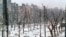 Грозный, 1 февраля 1995 г.